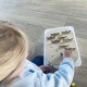 Jeu en bois - memory libellules