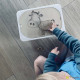 Jeu en bois - Vache Puzzle