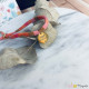 Bracelet médaille Super maitresse