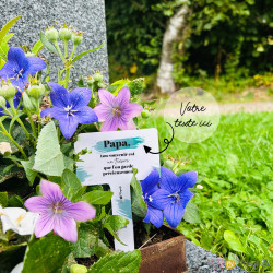 Pic jardinière - personnalisé