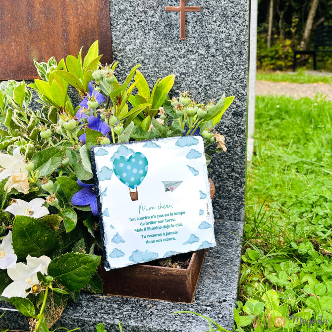 Ardoise - montgolfière-rose