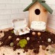 Boite billes de fleurs à planter-remerciement mariage
